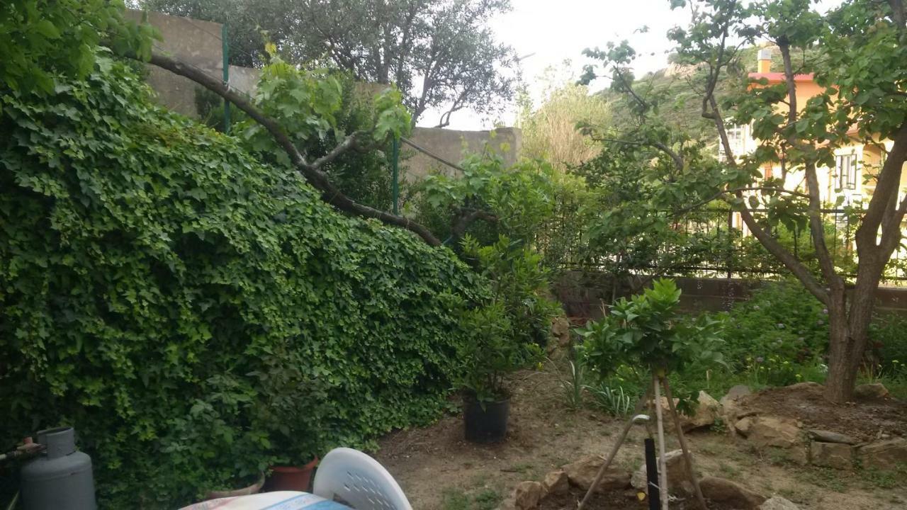 Lovely House Apartment Nebida Екстериор снимка